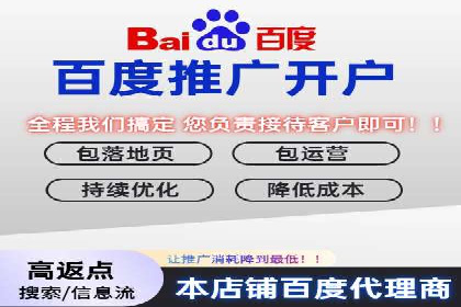 信息流广告的精准定位与效果优化案例分析